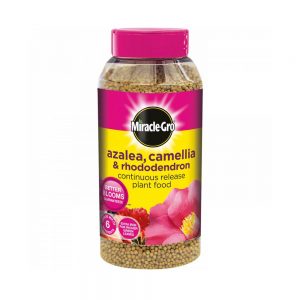 1kg Miracle-Gro® Azalea, Camellia & Rhododendron Continuous Release Plant Food £6.49 each or 2 for £10