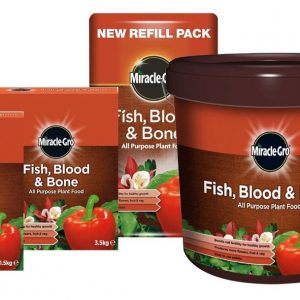 Fish Blood & Bone Group